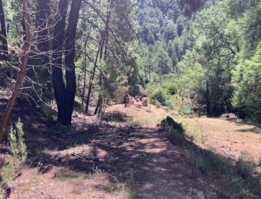 Molino de la Parra