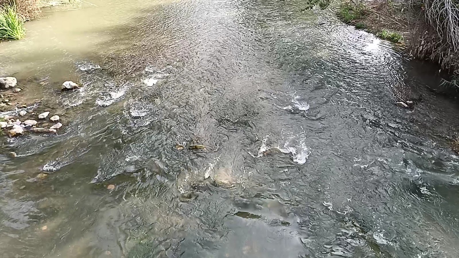 Parque Fluvial del Turia