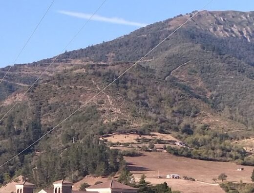 Sendero (monte la roja)