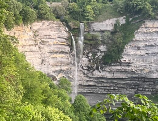 Parque Natural de Gorbeia
