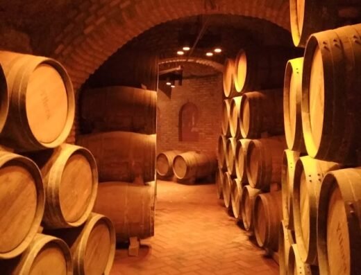 Yllera Enoturismo – Bodega Histórica