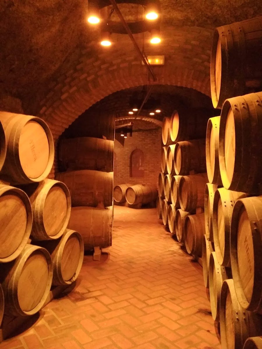 Yllera Enoturismo – Bodega Histórica