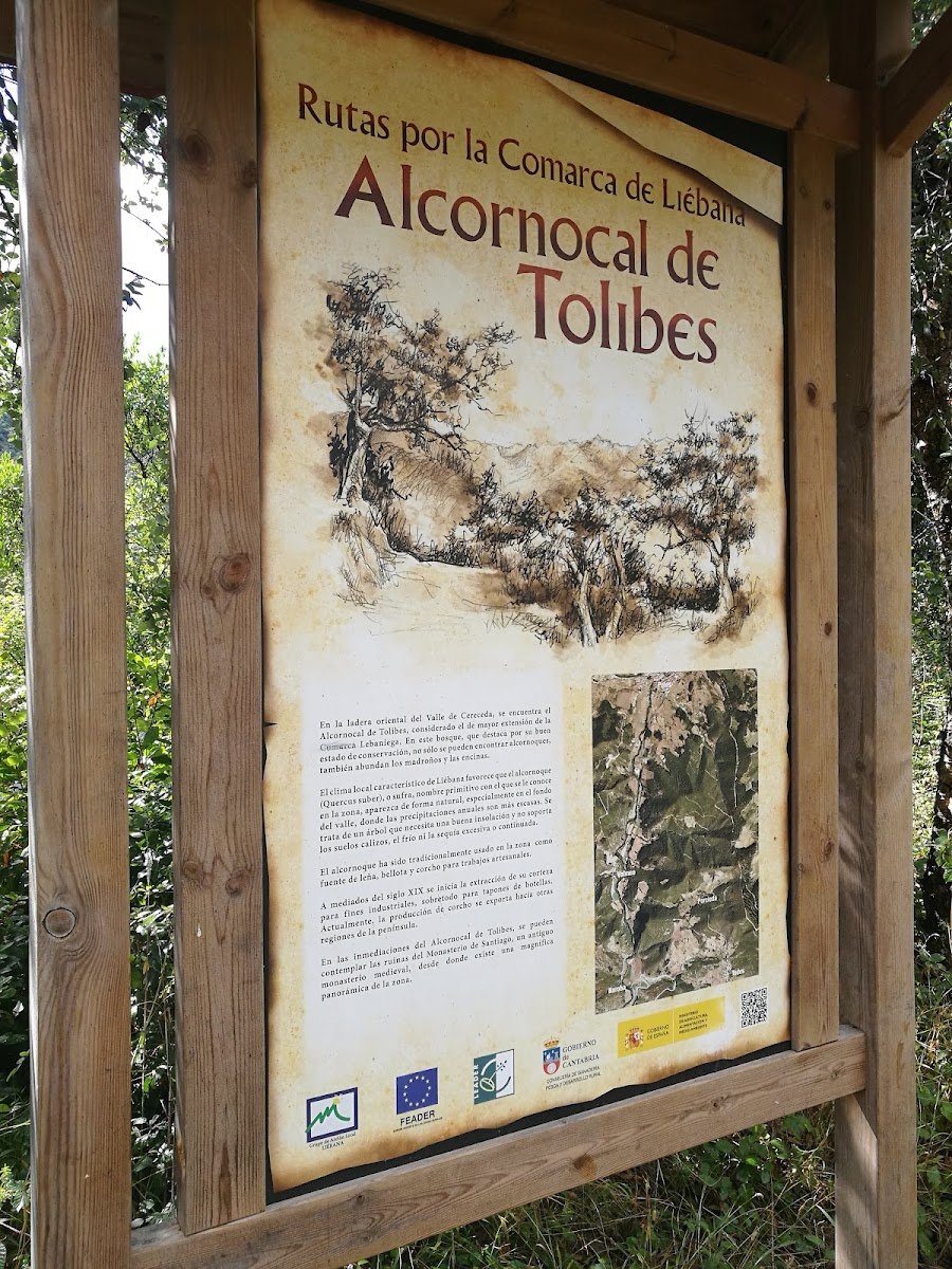Alcornocal de Tolives . Cruce de sendero circular ( Potes, Valmayor, Porcieda ) Cantabria.