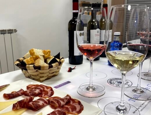 Vinoteca y Enoturismo «Del Terroir a la Copa»