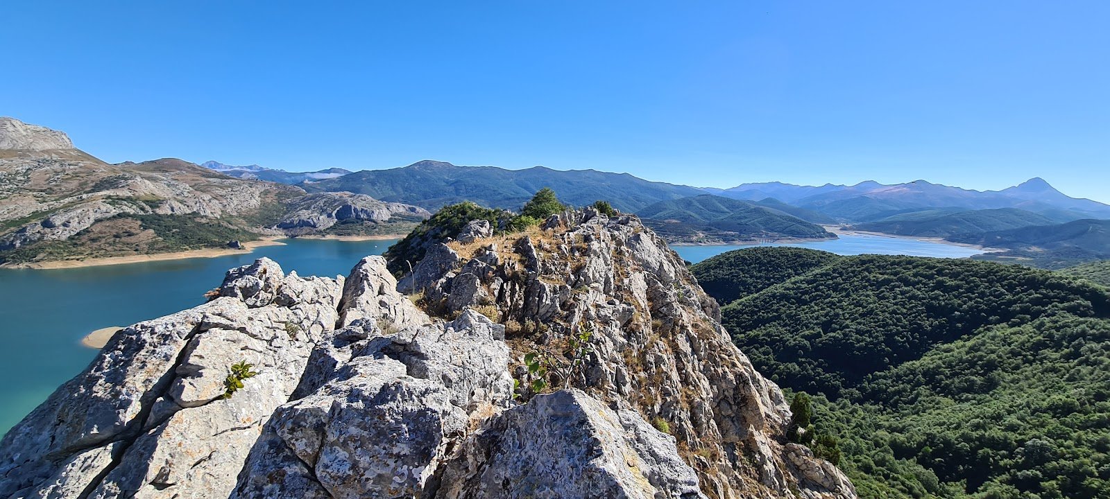Pico de buitres