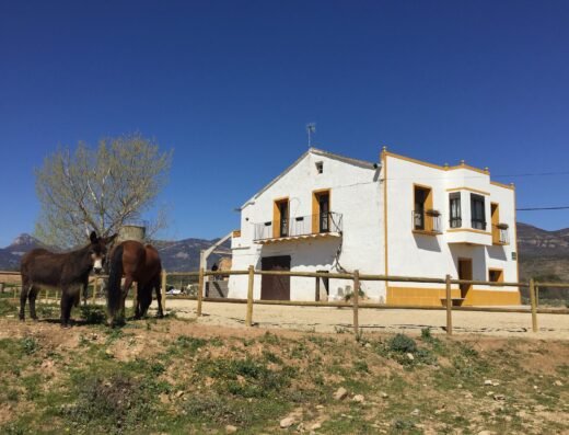 CASA JUSTO | Casa Rural en Huesca