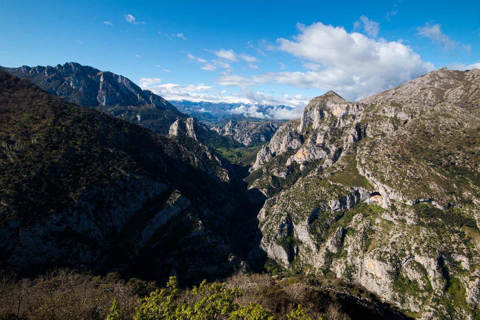 Camino Lebaniego