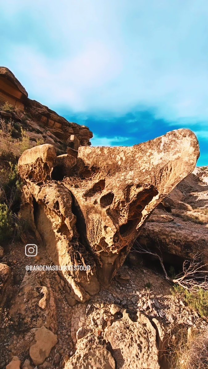 Bardenas Buggies Tour