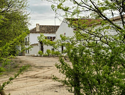 TINEDO Bodega y Viñedo / Winery and Vineyard