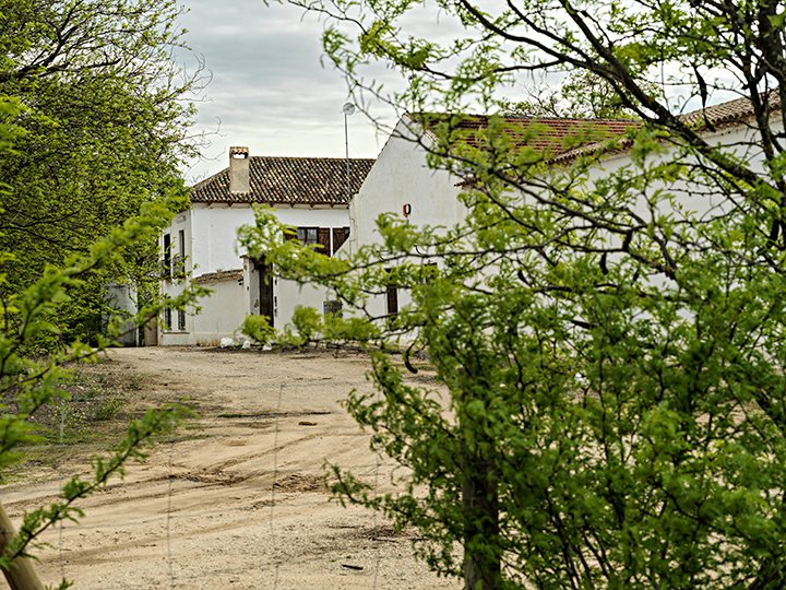 TINEDO Bodega y Viñedo / Winery and Vineyard