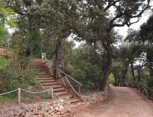 Parque natural del Carrascal de la Fuente Roja