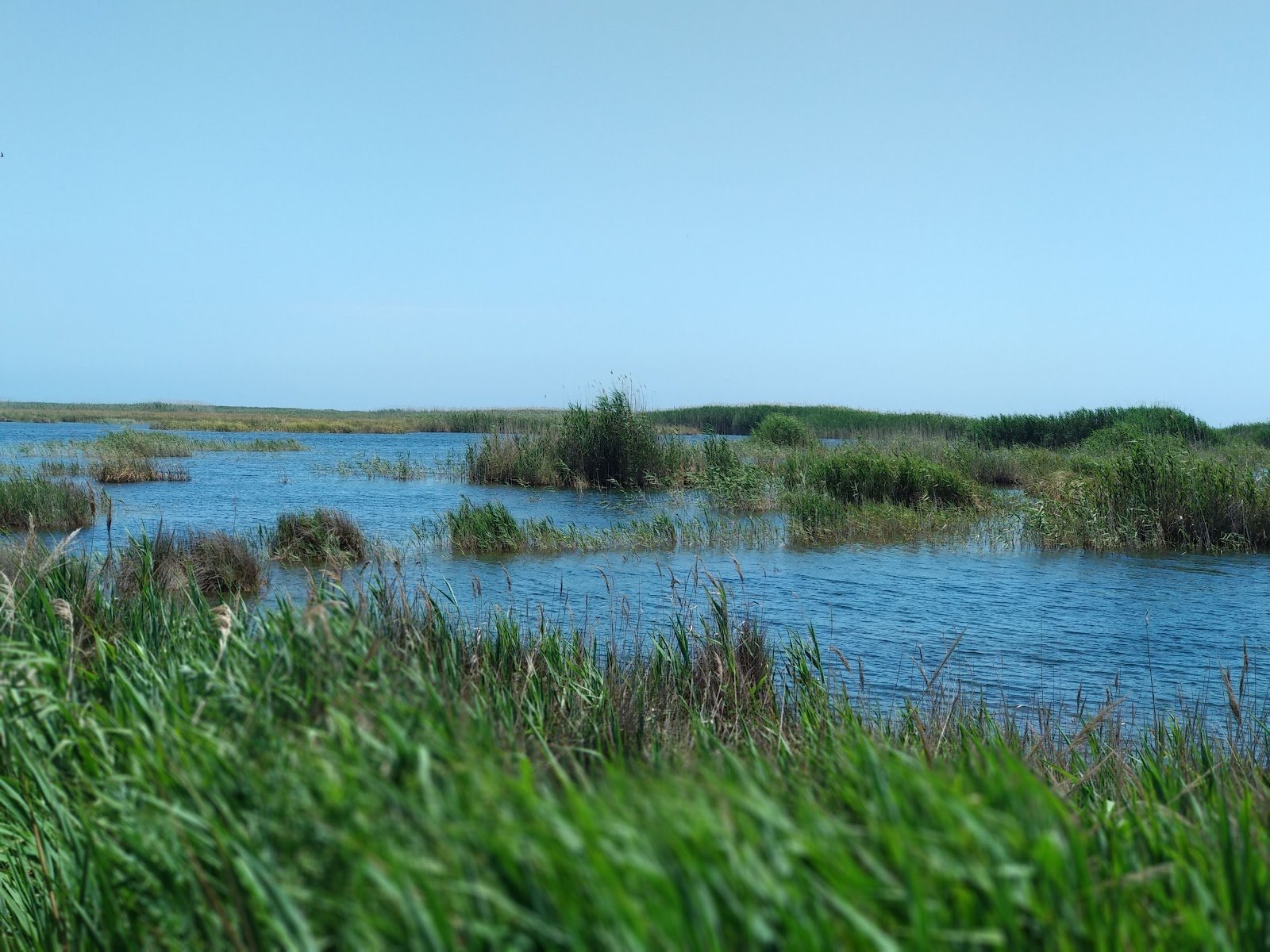 Parque Natural del Prat de Cabanes-Torreblanca