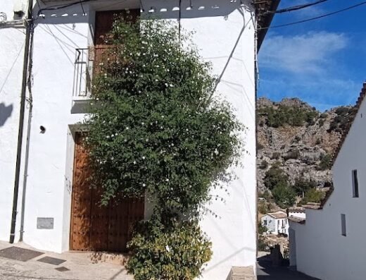 Casa Rural en Grazalema