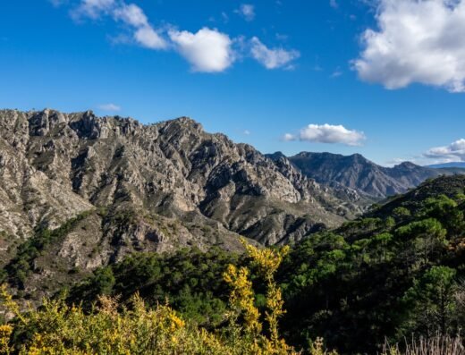 Parque Natural de las Sierras de Tejeda, Almijara y Alhama