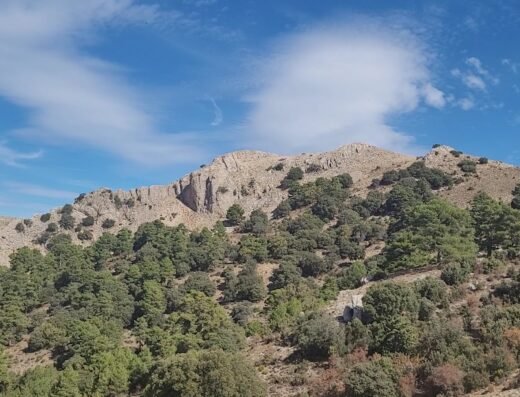 Cortijo del Cura