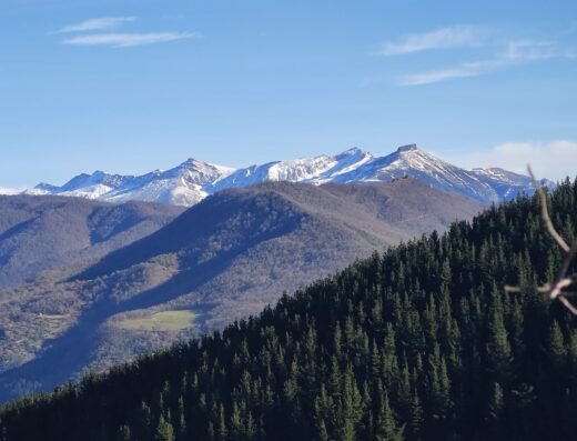 Pico Cutriales