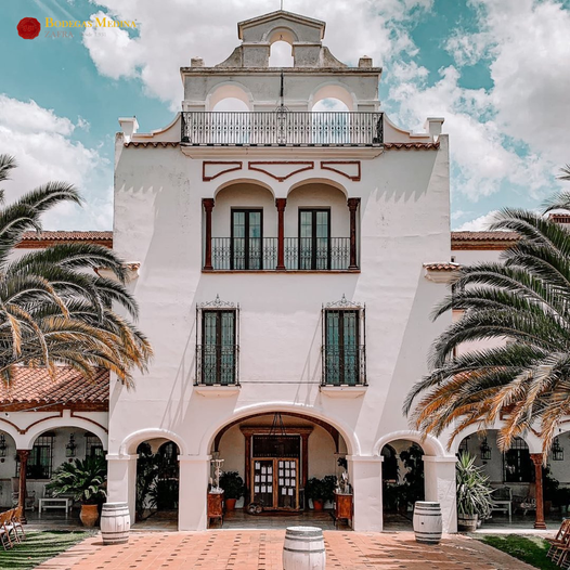 Bodegas Medina · Enoturismo y celebración de eventos
