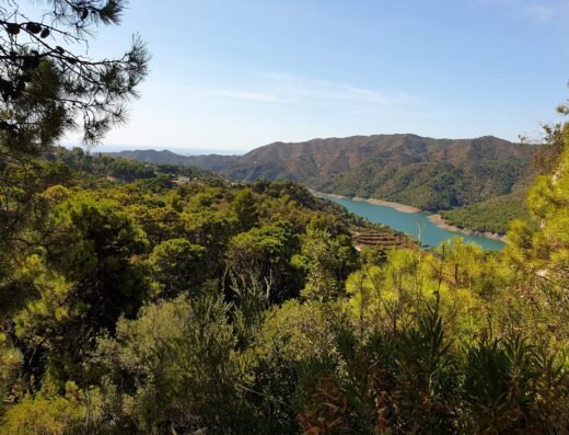 Área Recreativa de San Miguel