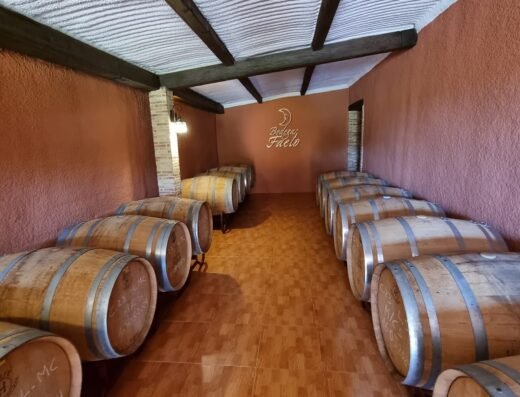 Bodegas Faelo – Enoturismo