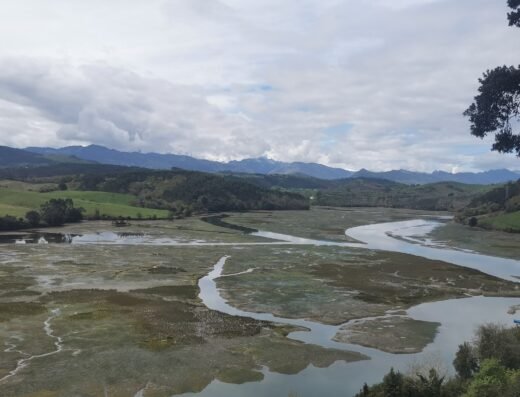 Parque natural de Oyambre