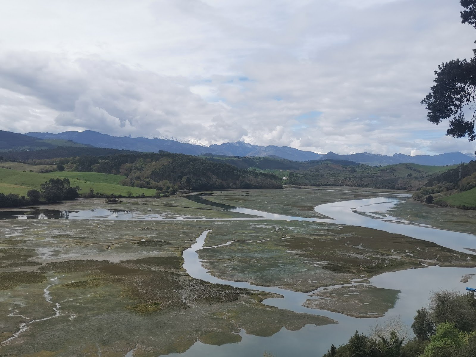 Parque natural de Oyambre
