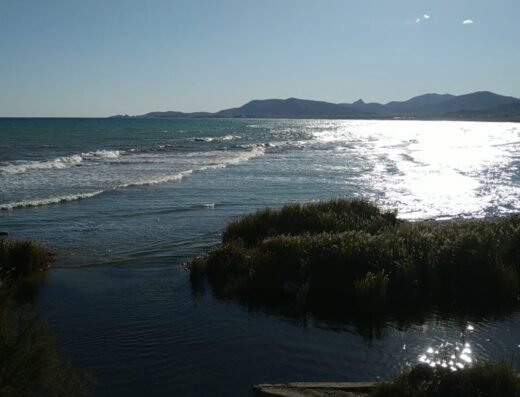 Parque Natural del Prat de Cabanes-Torreblanca