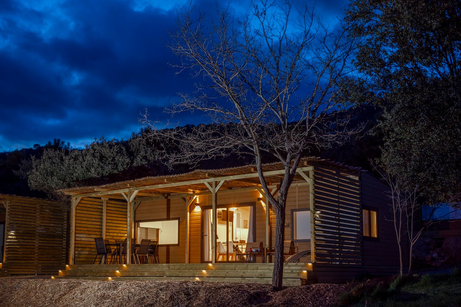 Cabañas en los árboles Monte Holiday Ecoturismo
