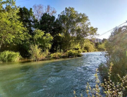 Parque Fluvial del Turia