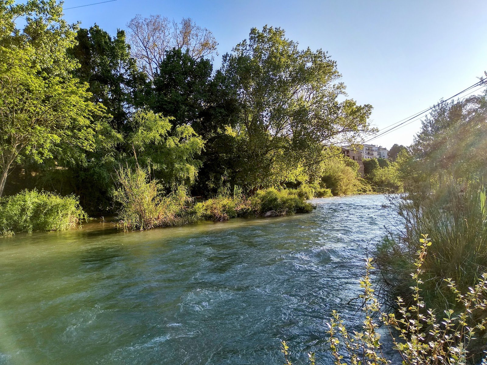 Parque Fluvial del Turia