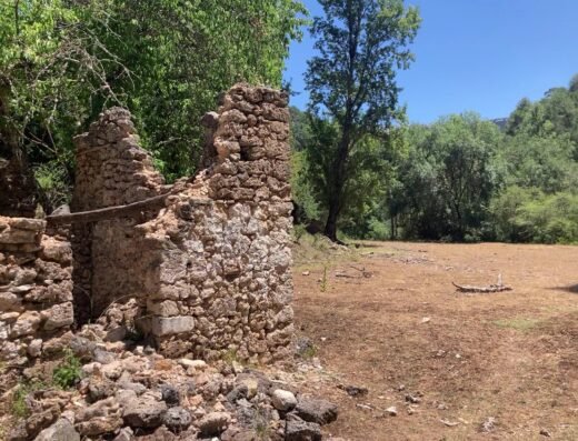 Molino de la Parra