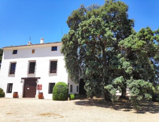 Finca Hoya de Cadenas (Centro de Enoturismo de Vicente Gandía)