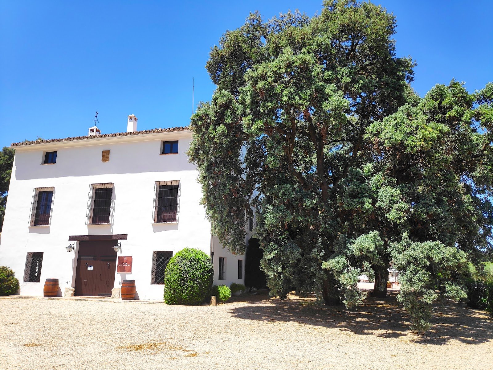 Finca Hoya de Cadenas (Centro de Enoturismo de Vicente Gandía)