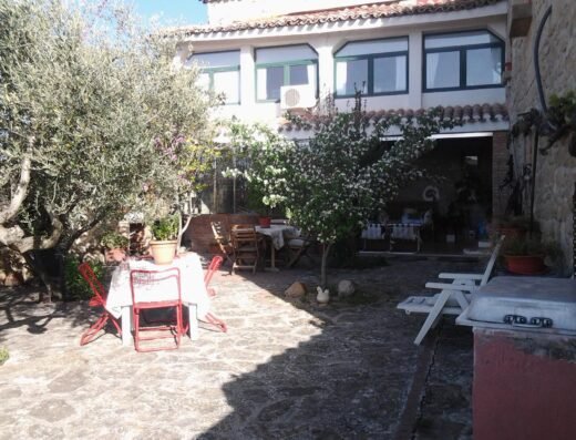 El Olivo de Sansol