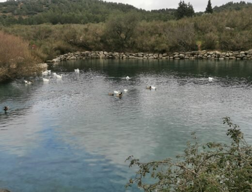 Nacimiento del Río de la Villa