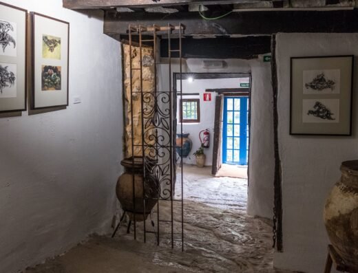 Fundación García y Chico