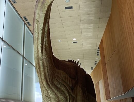 Museo Paleontológico de Castilla-La Mancha