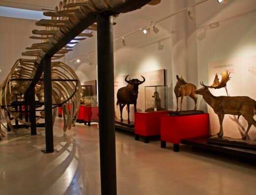 Museo de Ciencias Naturales.