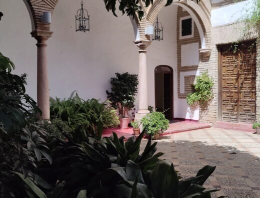 Museo de Arte de la Diputación (MAD)