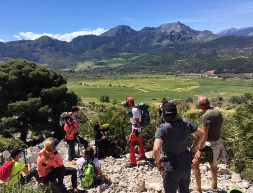 Con los Pies en la Sierra | Actuaciones en la naturaleza. Turismo Activo