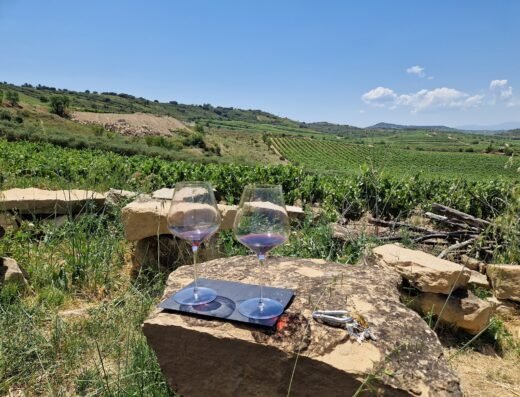 Bodegas Vergara Verde – Bodegas en Cenicero – Visita Bodega