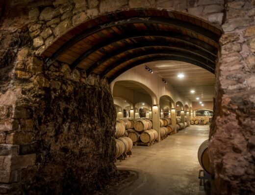 Bodegas David Moreno